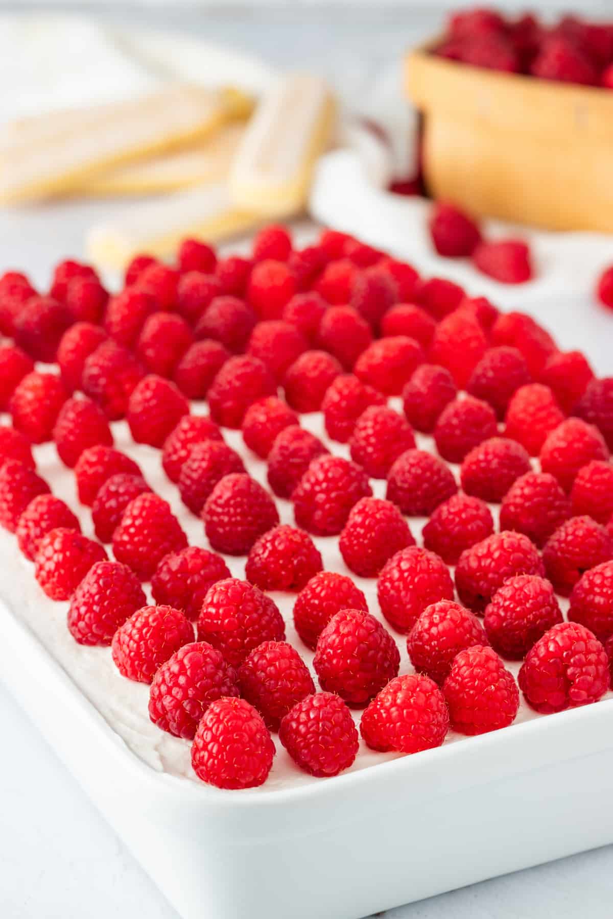 Overhead view of raspberry tiramisu topped with fresh raspberries in neat rows