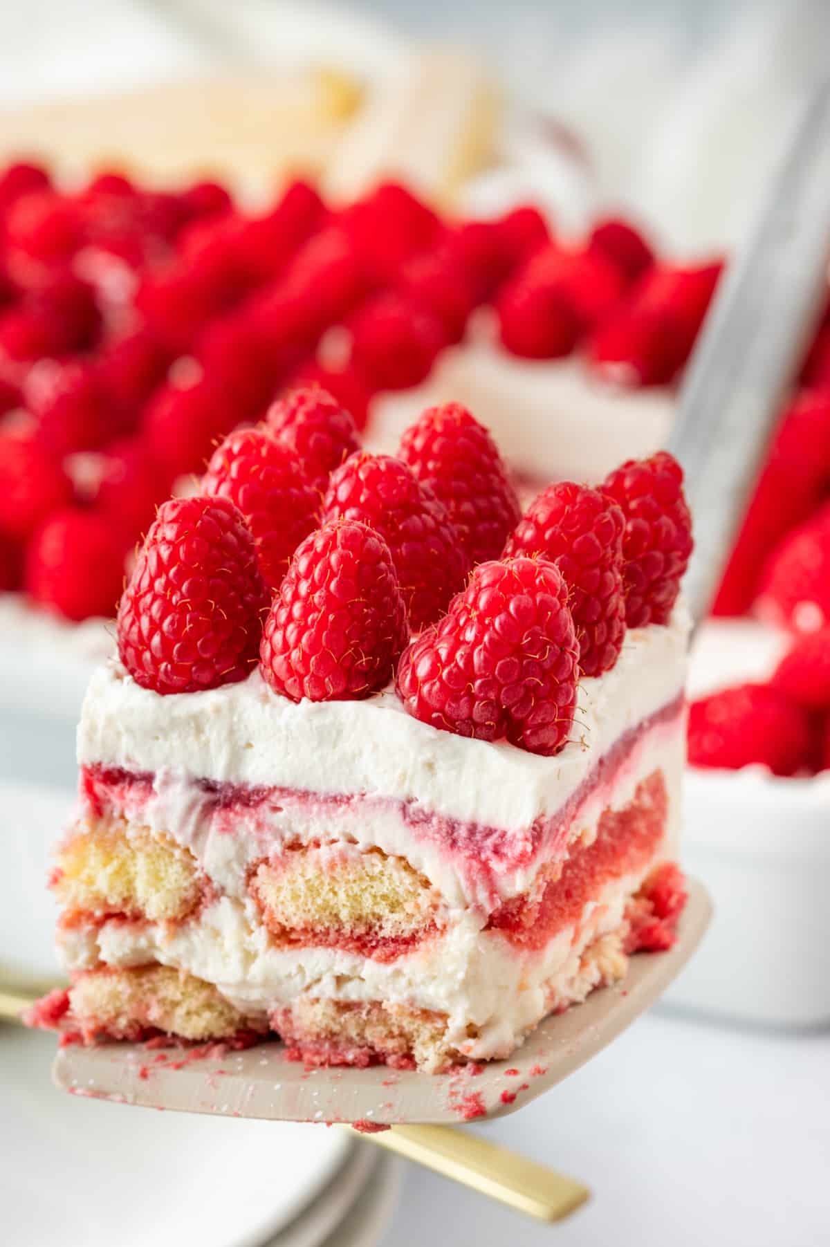Slice of raspberry mascarpone tiramisu served on a spatula with visible layers and fresh raspberries