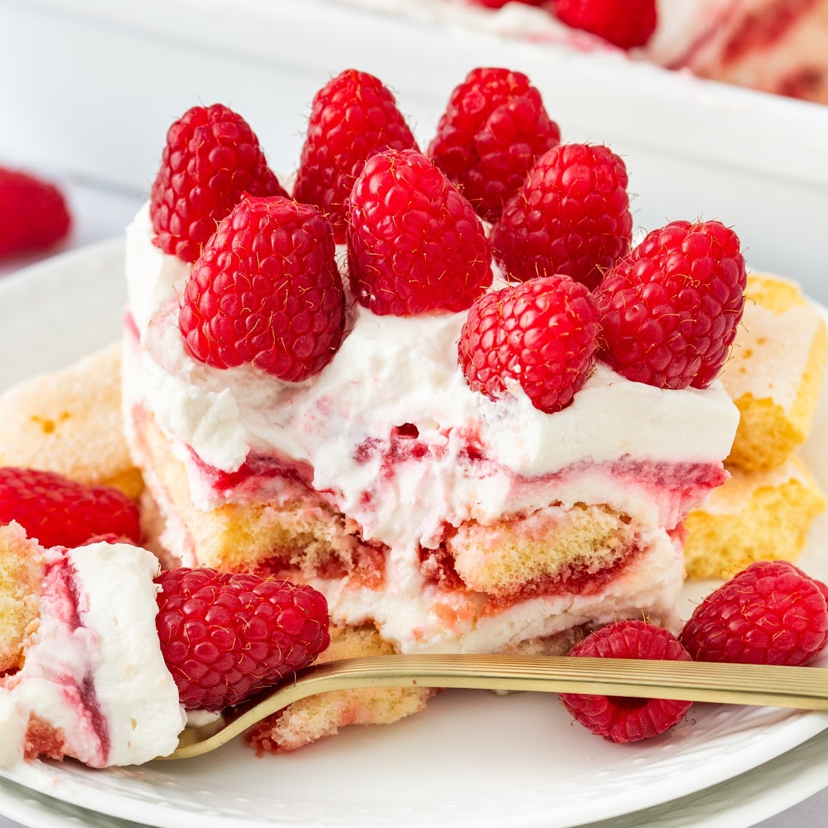 raspberry tiramisu with raspberry syrup