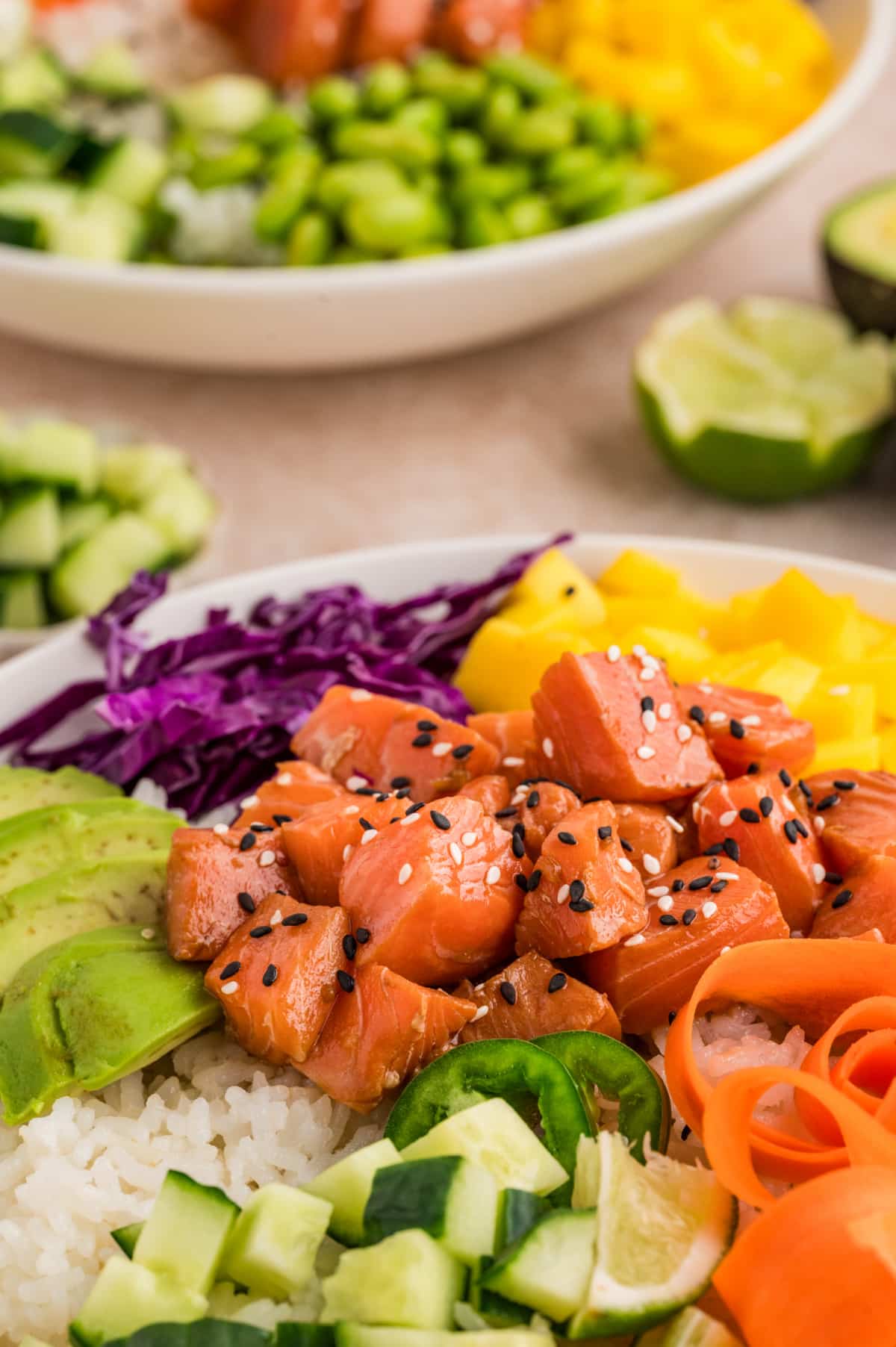 Detailed close-up of cubed salmon seasoned with sesame seeds, served over rice with fresh fruit and vegetables Close-up of marinated raw salmon over sushi rice with avocado, mango, cucumber, and shredded cabbage