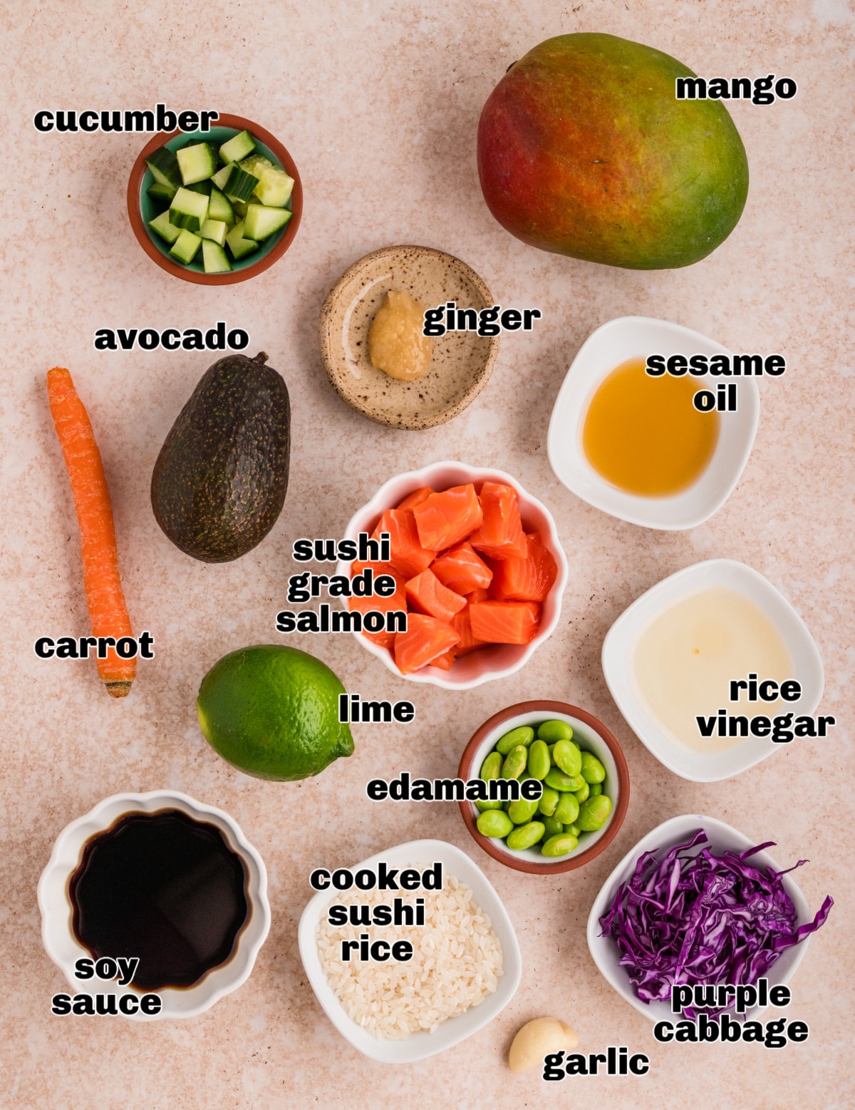 Overhead flat lay of poke bowl ingredients labeled individually, featuring raw salmon, fresh produce, and marinade components Ingredients for salmon poke bowls including sushi-grade salmon, mango, avocado, cucumber, edamame, soy sauce, and sushi rice
