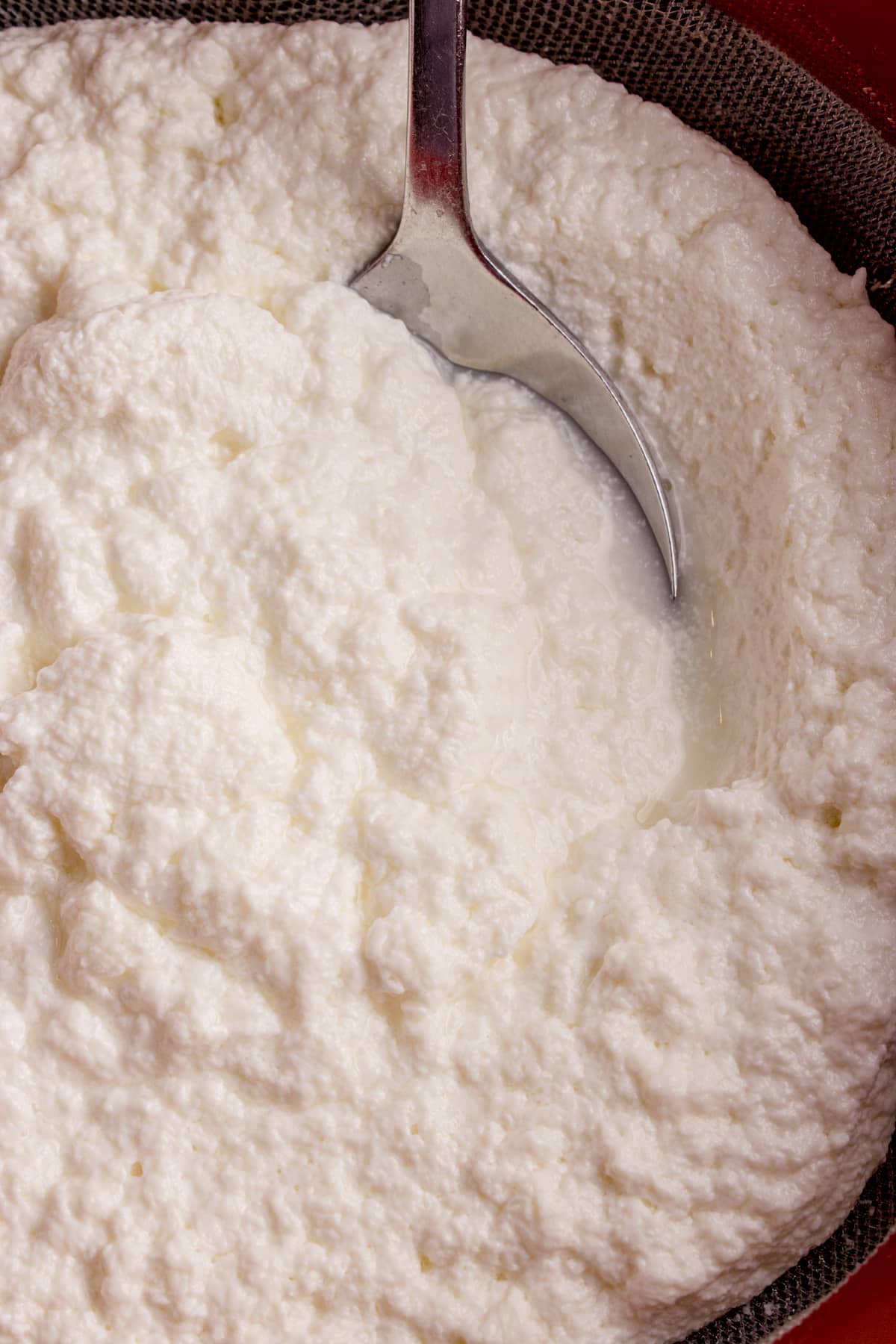 Freshly drained homemade ricotta cheese with soft curds and visible whey Soft homemade ricotta cheese draining in a strainer