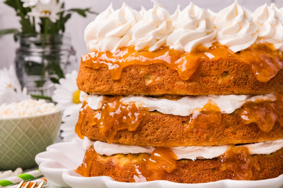 Carrot cake with apricot filling layered with cream cheese frosting Side view of Carrot Cake with Apricot Filling and White Chocolate Cream Cheese Frosting showing layered cake and apricot preserves between layers