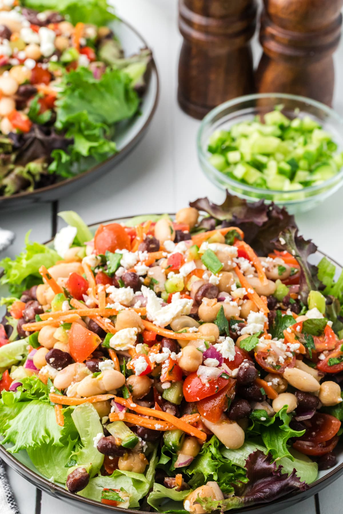 Dense bean salad with lemon Dijon dressing served over lettuce with chickpeas, black beans, cannellini beans, feta, tomatoes, and chopped vegetables