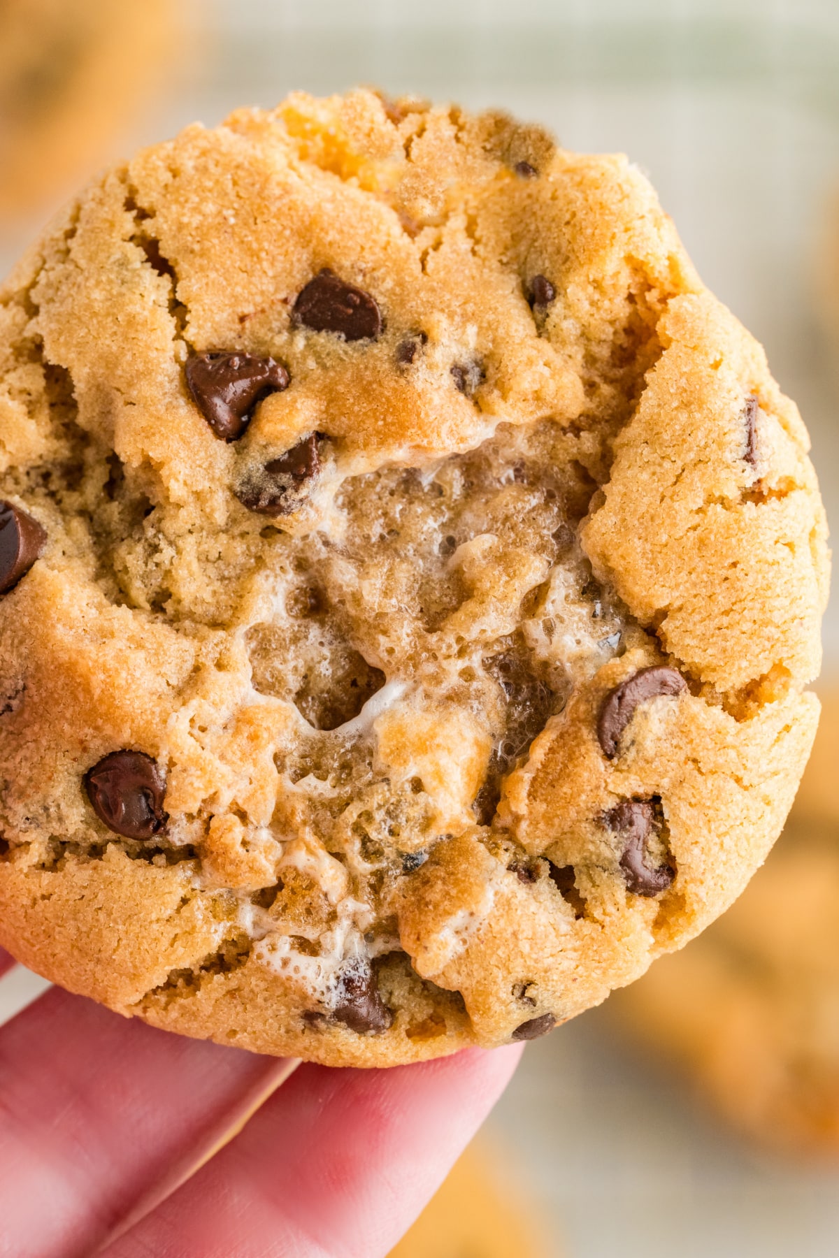 Close-up of peanut butter marshmallow cookies with a gooey toasted marshmallow center and mini chocolate chips.