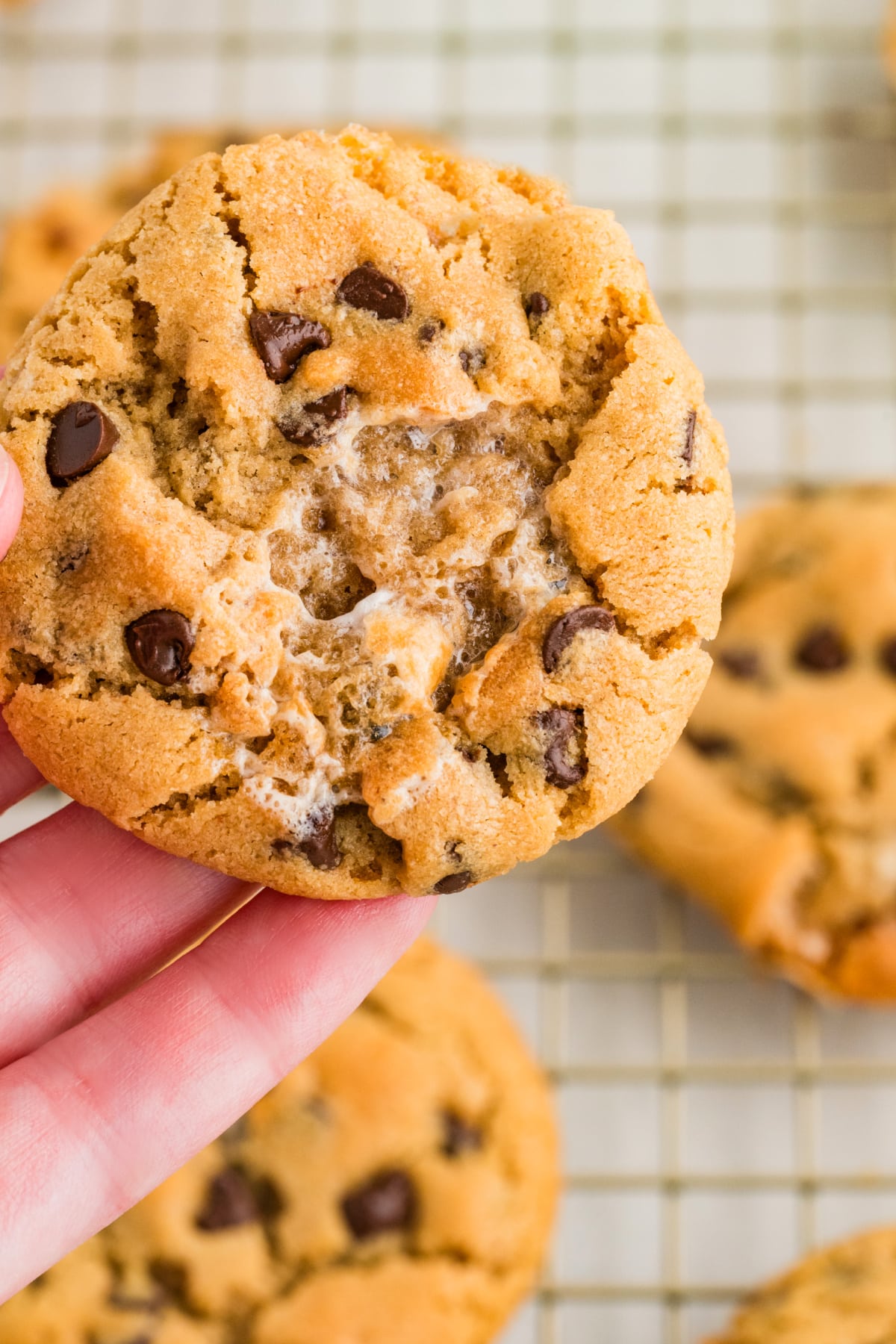 Peanut butter marshmallow cookies with toasted marshmallow pockets and mini chocolate chips held in hand over a cooling rack.