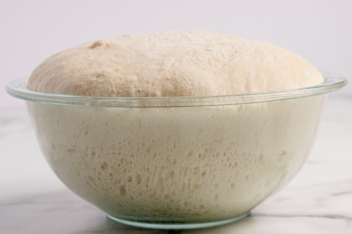 Peasant bread dough rising in a Pyrex bowl before baking