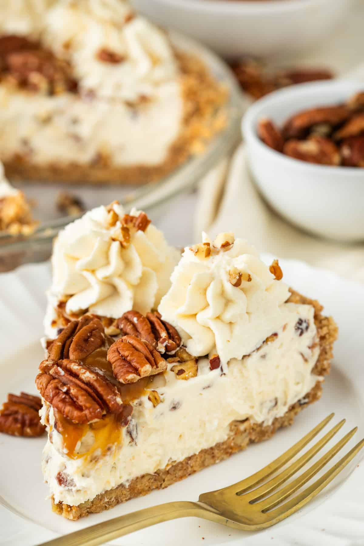 Slice of pecan cream pie with toasted pecans, caramel drizzle, whipped cream, and a pecan crust