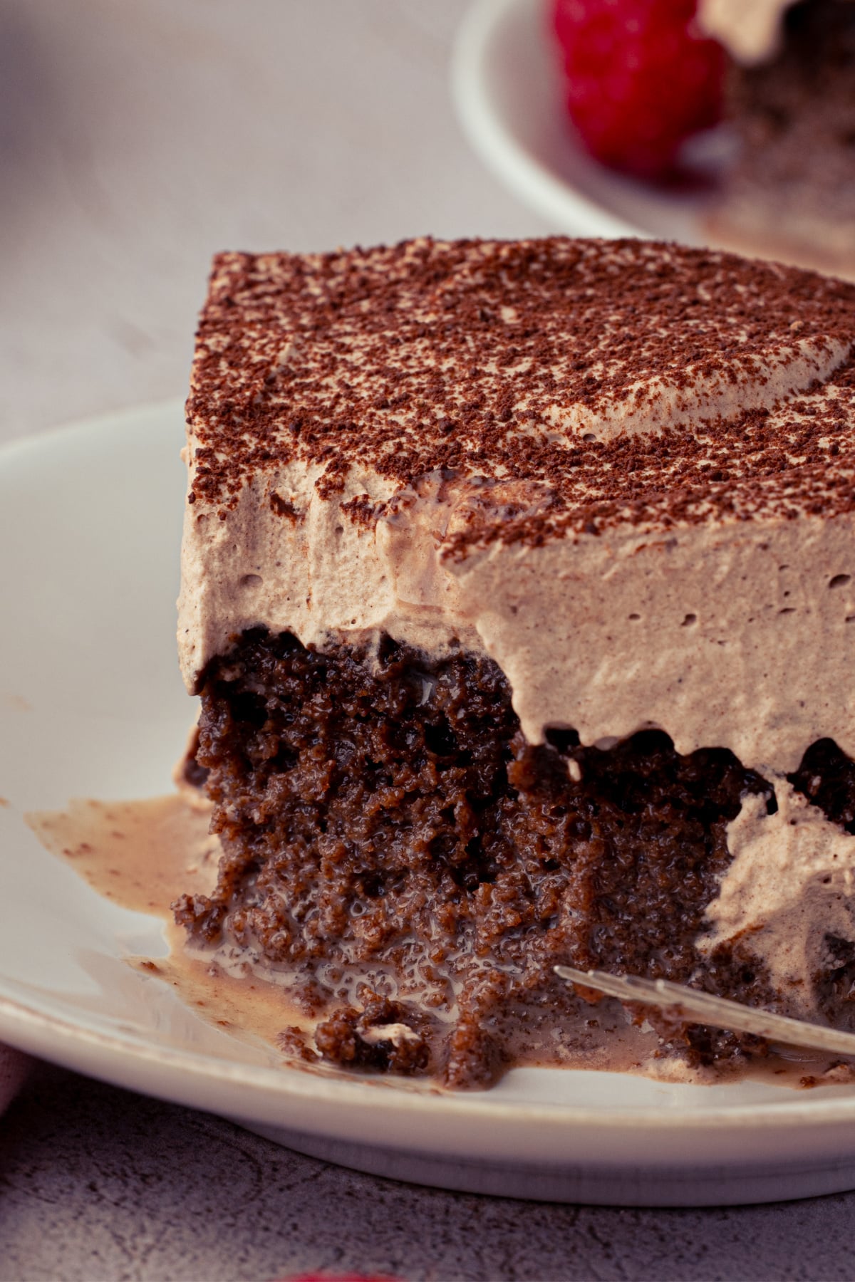Close-up of milk-soaked chocolate cake topped with a thick layer of chocolate whipped cream and cocoa powder.