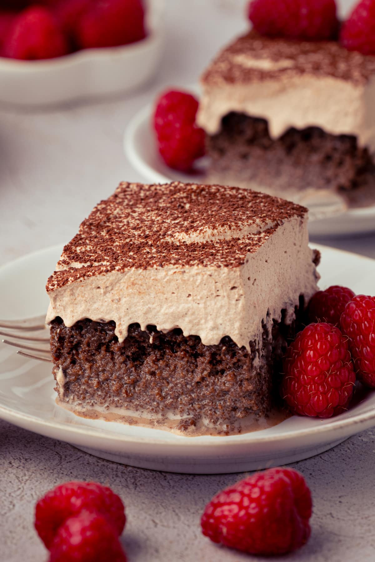 Chocolate tres leches cake topped with chocolate whipped cream and cocoa powder, served with fresh raspberries.