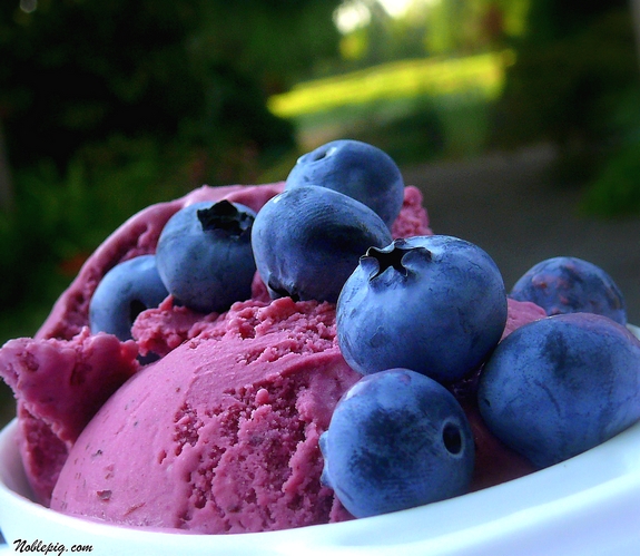 Cool down with a refreshing treat - blueberry sour cream ice cream. A rich and decadent dessert that tastes like cheesecake. sour cream blueberry ice cream